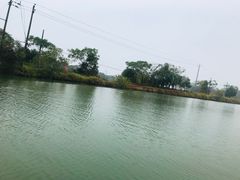 -军山湖云水间生态农业旅游景区