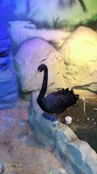 -酷嗒动物文化乐园(cutezoo西溪乐天城店)