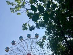 -揭东万竹园旅游景区