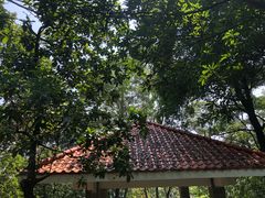 -火炉山森林公园