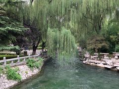 -百脉泉景区