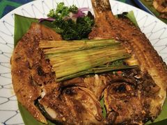 -紫滇源云南生态菜(丹凤街店)