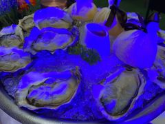 法国空运生蚝-福楼法餐厅FLO