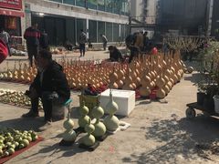 -中环花鸟鱼虫市场