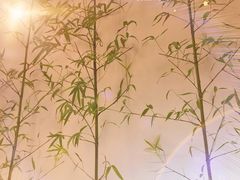 -十二舍·湯物素煮(江泰潤政店)