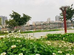 -眉山湿地公园(东坡区)