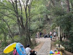 -青龙山国家森林公园