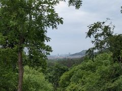 -青龙山国家森林公园