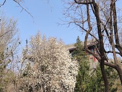 -香山公园