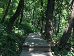 -北京上方山国家森林公园