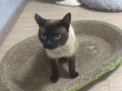 -派特宠物医院(圆融广场店)