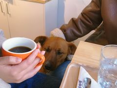 -漫香咖啡·云南小粒咖啡