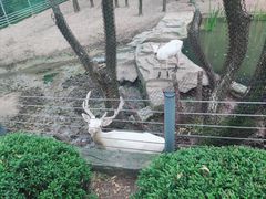 -沈阳森林动物园