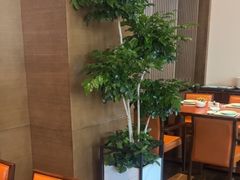 -阿纳迪酒店·悦餐厅