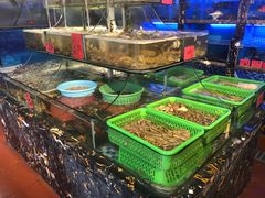 水产区-友强·23年特色海鲜大排档(厦门店)