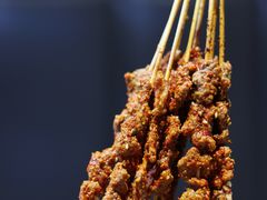 -卞二小串·鹤岗烧烤·坑烤(永定路店)