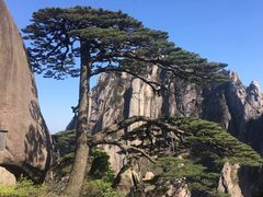 -临街徽菜馆·正宗黄山味
