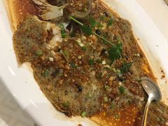 -顺峰(农展馆店)