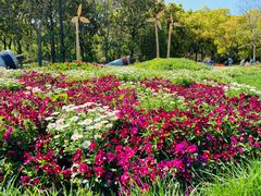 -上海共青森林公园