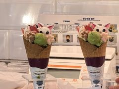 -哈根达斯(西安高新店)