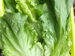 -章记正宗南岗鱼蛋火锅