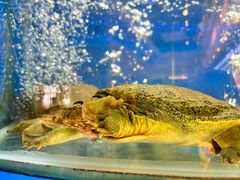 -小城味道(聚成大厦店)