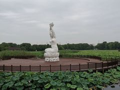 -荷塘月色湿地公园·向阳花洲