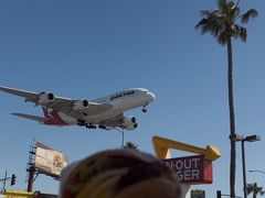 -In-N-Out Burger(LAX)