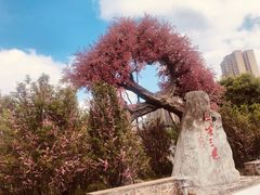 -昌州古城