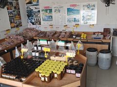 -苏州市吴中区光福窑上花果蜜饯厂