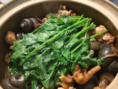 田螺鸡煲-食爺炭炉鸡煲·烧烤