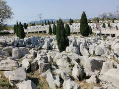 -原山国家森林公园