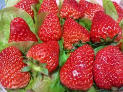 -潇湘码头·鲜湘菜(清河店)