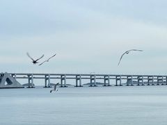 -糯米香(长江路店)