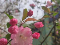 -徐家汇源景区-衡山公园