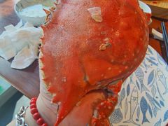 -高佳庄·舟山海鲜(海景旗舰店)