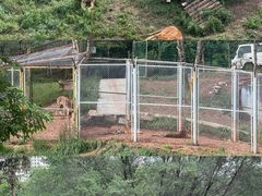-青藏高原野生动物园