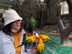 -西霞口神雕山野生动物世界