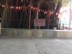 -江门古兜温泉小镇