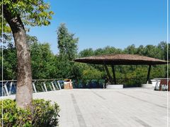 -大亚湾红树林城市湿地公园