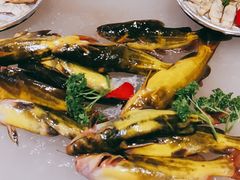 -鸽子窝(青塔店)
