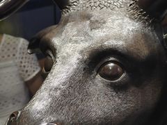 -广西壮族自治区博物馆