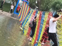 -白洋淀景区