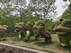 -洛阳市隋唐城遗址植物园