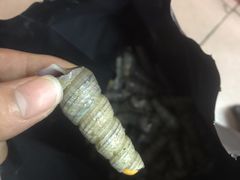 -都斛海鲜街