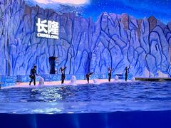 -珠海长隆海洋王国