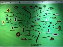 -上海昆虫博物馆