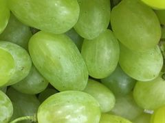 -和颐酒店(广州琶洲会展中心广州塔赤岗地铁站店)