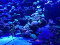 -太平洋海底世界