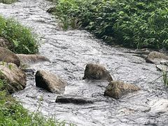 -千泷沟大瀑布旅游区